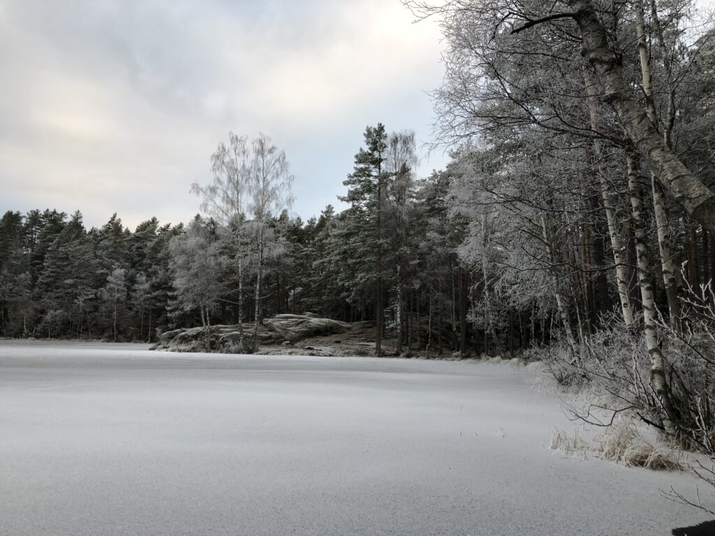 Vinterbilde av isdekt vann og trær
