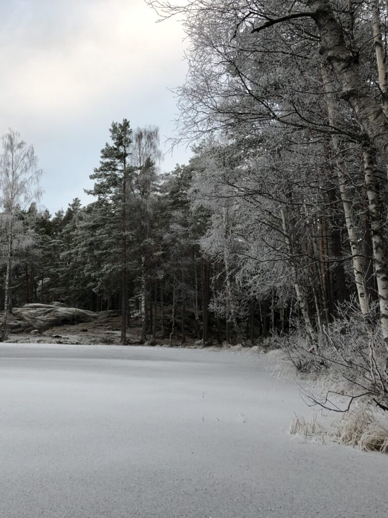 Vinterbilde av isdekt vann og trær